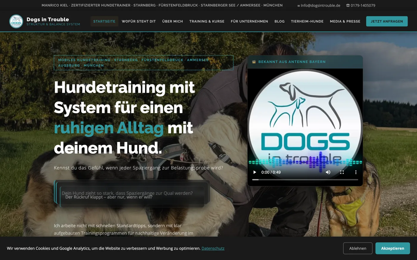 Startseite der Website von Dogs in Trouble