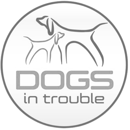 Dogs in Trouble